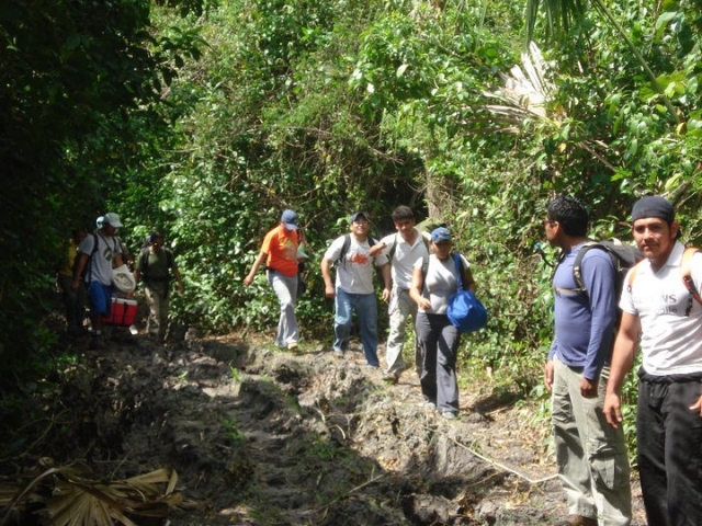 Grupos de excursion